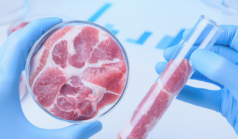 В Татарстане научат создавать мясо в лабораторных условиях
