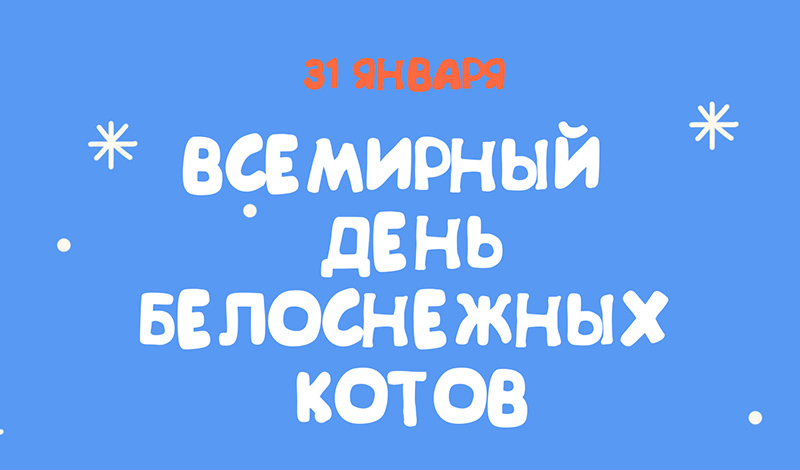 Всемирный день белоснежных котов совсем скоро! Готовы праздновать?