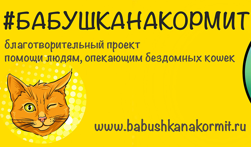 #БАБУШКАНАКОРМИТ: в Петербурге стартует новый проект, помогающий людям, помогающим кошкам