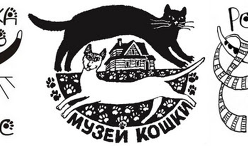 Пресс-конференция ТАСС: котики на службе прекрасного
