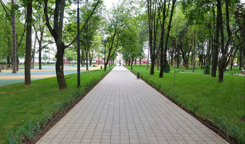 Сад «Сосновый» в Краснодаре благоустроят за 172 млн рублей