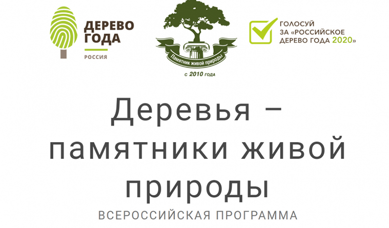 17 марта 2021 года в Европе объявят победителя конкурса «Европейское дерево года 2021»
