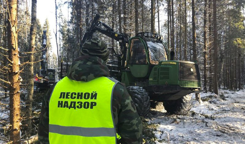 В Архангельской области апробируют новые подходы лесного надзора