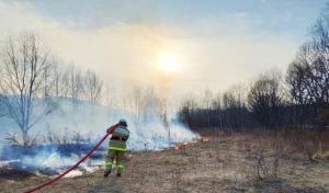 В 58 муниципальных образованиях Красноярского края введен особый противопожарный режим