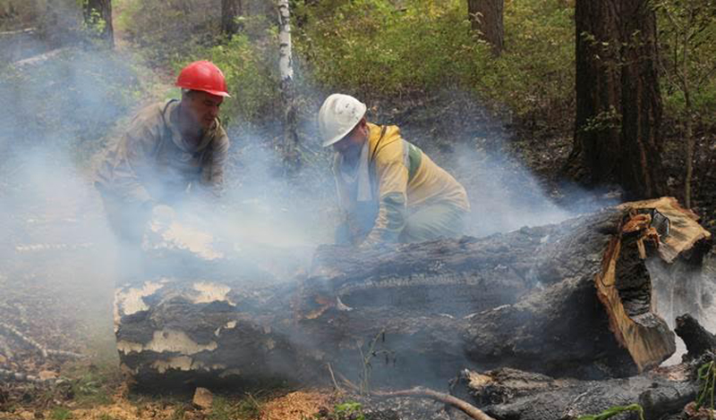 В Красноярском крае в два раза снизилось количество лесных пожаров