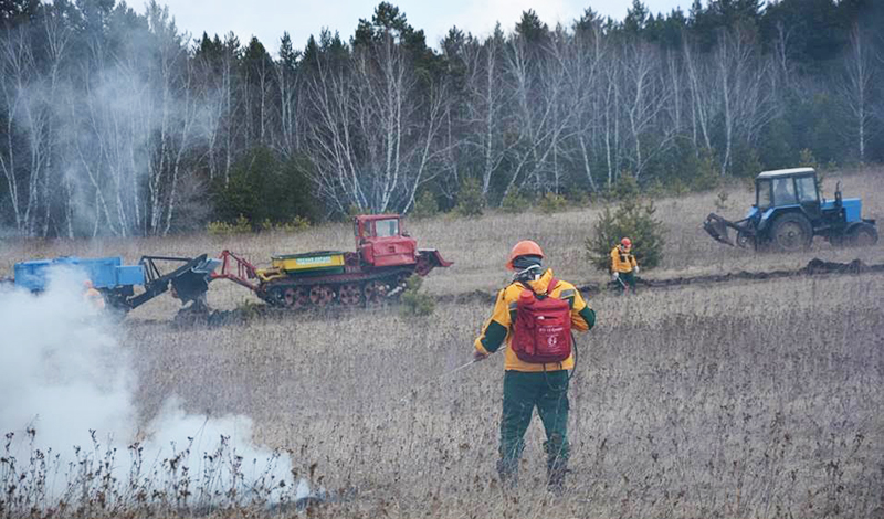 В Красноярском крае ликвидировали 12 лесных пожаров