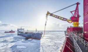 Еще две компании Архангельской области стали резидентами Арктической зоны с инвестициями 73,5 млн рублей