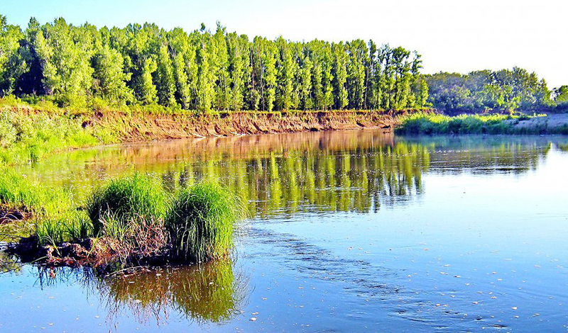 Берег реки Сакмара в Оренбургской области укрепят