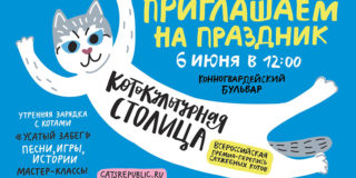День петербургского кота 2021: что задумали усатые?