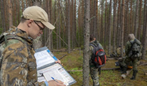 В Архангельской области началась перепись лесов