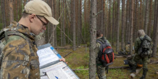В Архангельской области началась перепись лесов