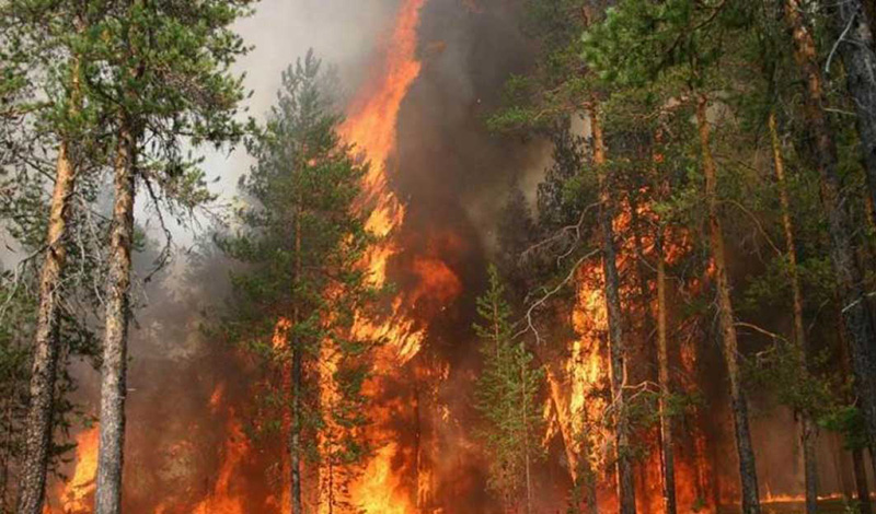 Пожарные Поморья помогут Якутии справиться с лесными пожарами