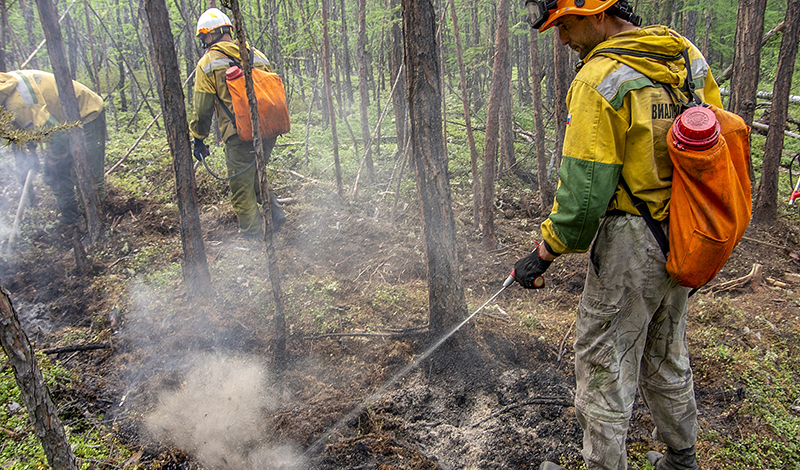 За неделю потушили 443 лесных пожара на общей площади, пройденной огнем, более 255 109 га.