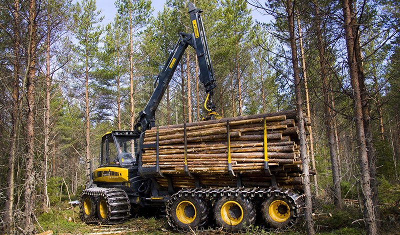 В Архангельскую область поступило 36 единиц лесохозяйственной техники