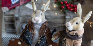 Мишки Тедди приглашают на Рождественский каток, живут в скорлупе ореха и превращаются во фрутомонстров!