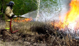 Архангельская область нарастит группировку сил и средств для борьбы с лесными пожарами
