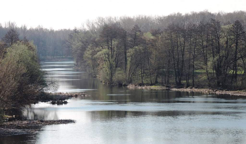 В Курской области восстановят канал водосброса на реке Тускарь