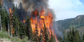 Бурятия готовится к борьбе с лесными пожарами