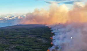 На Камчатке на тушение лесных пожаров выделили 13 млн рублей