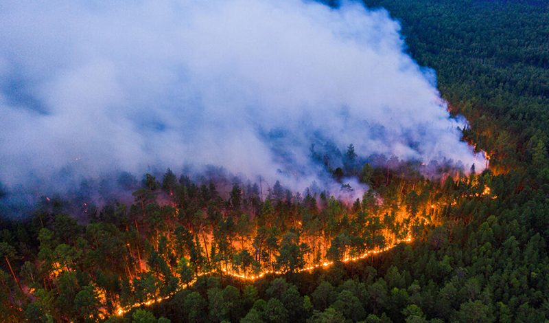 Сахалинская область готовится к борьбе с лесными пожарами