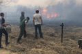 Александр Цыбульский поручил усилить контроль за лесопожарной обстановкой в Поморье
