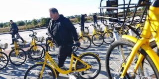 Объявлены торги на строительство велодорожки на Куршской Косе