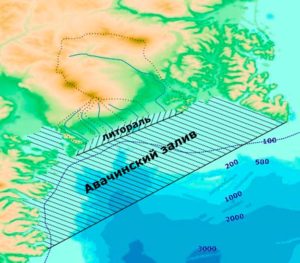 Рис2. Контуры Авачинского залива