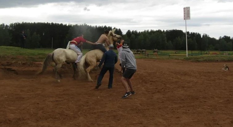 В Татарстане пройдет чемпионат мира по кореш на лошадях