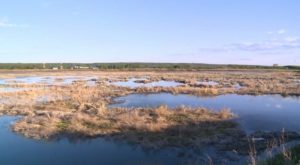На рекультивацию иловых полей в Татарстане направят более 636 миллионов рублей