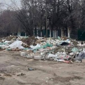 Народный фронт добился ликвидации разрастающейся свалки вблизи природно-исторического парка «Косинский» в Москве