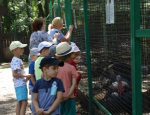 В ЗООПАРКЕ ОБНОВИЛИСЬ ВОЛЬЕРЫ ДЛЯ ПТИЦ