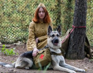 Музей Победы запустил всероссийский конкурс рассказов ко Дню фронтовой собаки