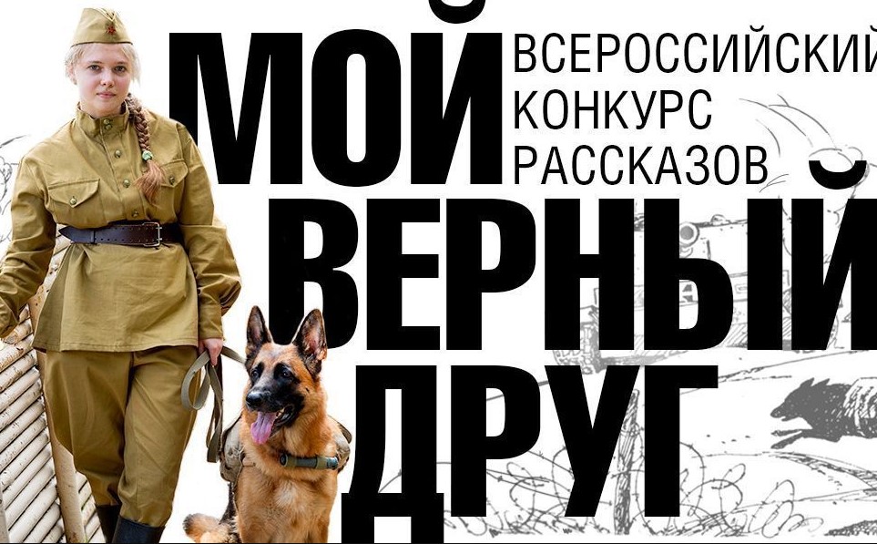 Музей Победы запустил всероссийский конкурс рассказов ко Дню фронтовой собаки