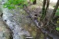 В Ростовской области расчистят Большую Черепаху от загрязнений и насекомых