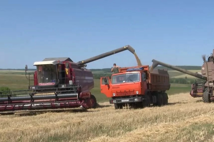 Грантовая поддержка татарстанских фермеров в 2022 году составила более 900 млн рублей