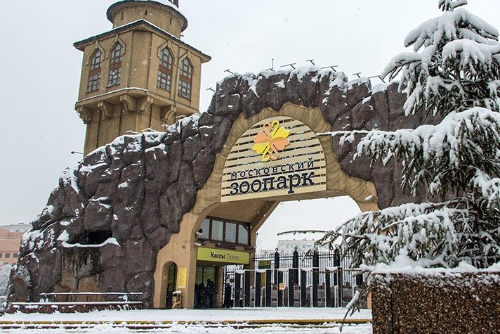 В Московском зоопарке (в домике П.Т. Клюева) открылась выставка Банка России «Драгоценный мир живой природы»