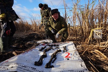 В 2022 году татарстанские поисковики провели более 30 экспедиций