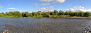 Проект расчистки реки Нижний Выг оценили в 10 млн
