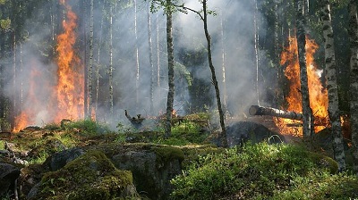 Иркутская область готовится к борьбе с лесными пожарами