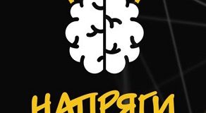 Петербуржцы проверят свои знания в игре «Напряги извилины»