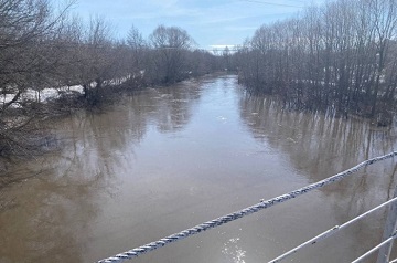 В Ульяновске будут расчищать реку Селедь
