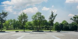 В Новом Уренгое пройдет реконструкция Таежной улицы за 1,2 млрд