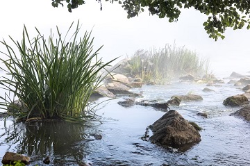 В Пензенской области расчистят ложе пруда на реке Инра