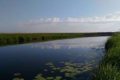 Расчистку реки Карасук в Сибири оценили в 49,6 млн