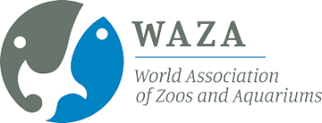 11-15 мая в Алматы (Республика Казахстан) состоялась Ежегодная конференция Евроазиатской региональной ассоциации зоопарков и аквариумов (ЕАРАЗА).