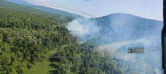 Камчатка готовится к борьбе с лесными пожарами: объявлен тендер на 17,3 млн