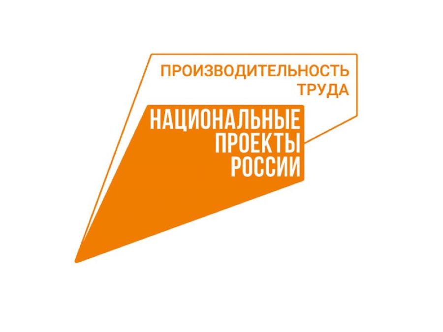 Бесплатная помощь бизнесу: что может нацпроект «Производительность труда»