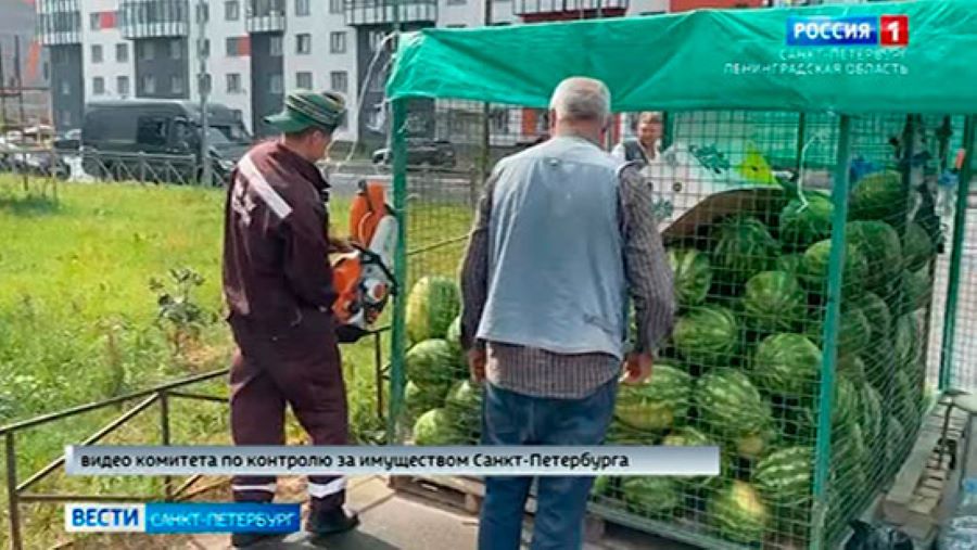 Нелегальные бахчевые: специалисты Комитета провели рейды в пяти районах