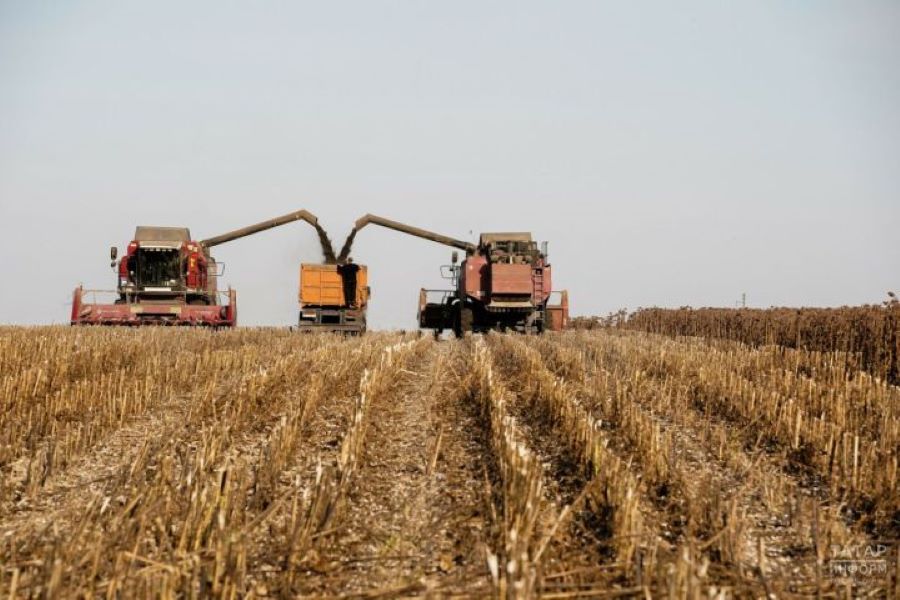 В Татарстане собрали зерна на площади почти 1,5 млн. гектаров