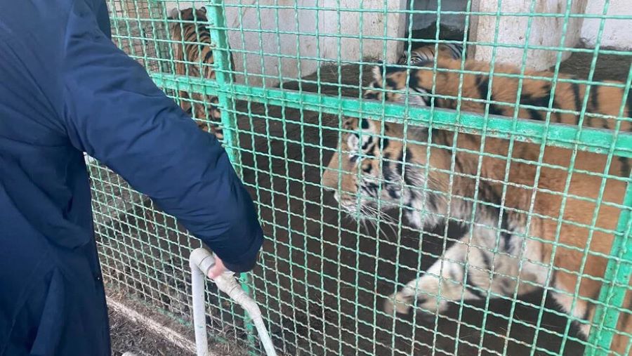 Московский зоопарк оказал срочную помощь херсонскому сафари-парку, пострадавшему из-за шторма